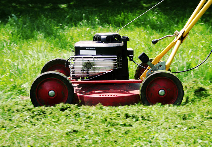 Red lawn mower on grass
